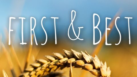 First and Best – Part 3